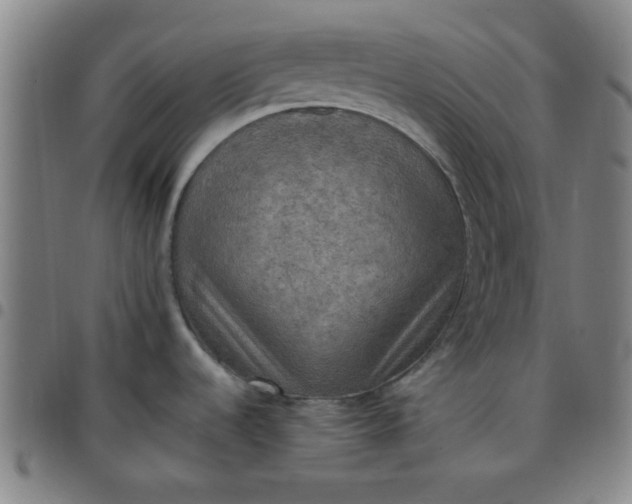 X0000097461536200803071620