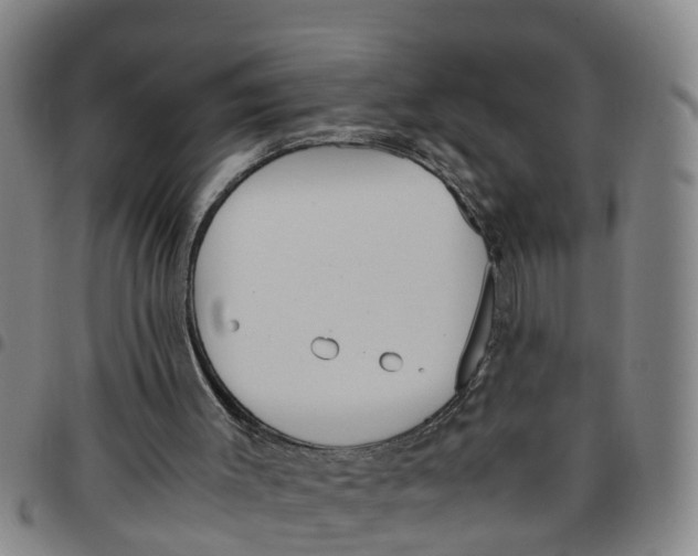 X0000097460003200803141901