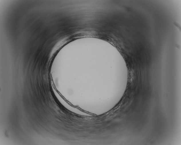 X0000097460004200803141901