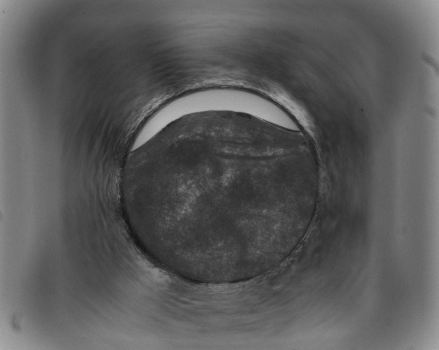 X0000097460009200803141901