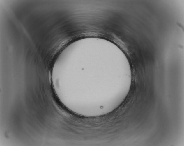 X0000097460013200803141901