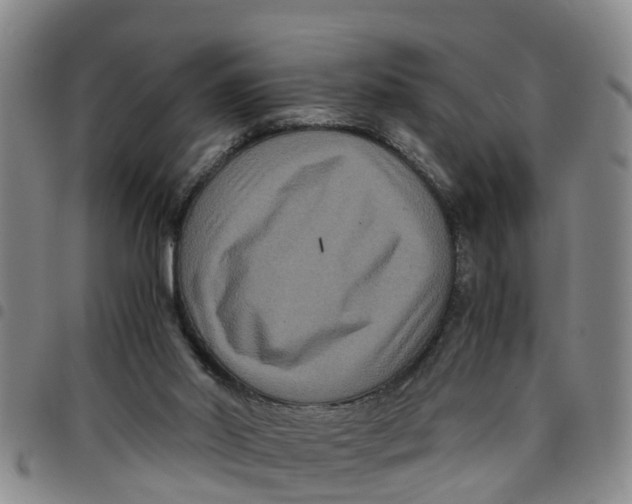 X0000097460014200803141901