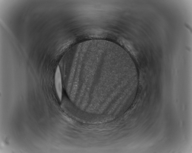 X0000097460017200803141901