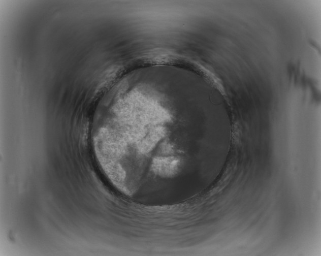 X0000097460018200803141901