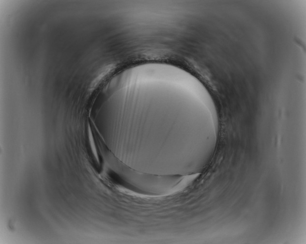 X0000097460019200803141901