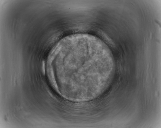 X0000097460022200803141901