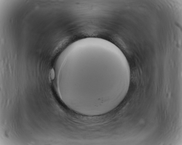 X0000097460023200803141901