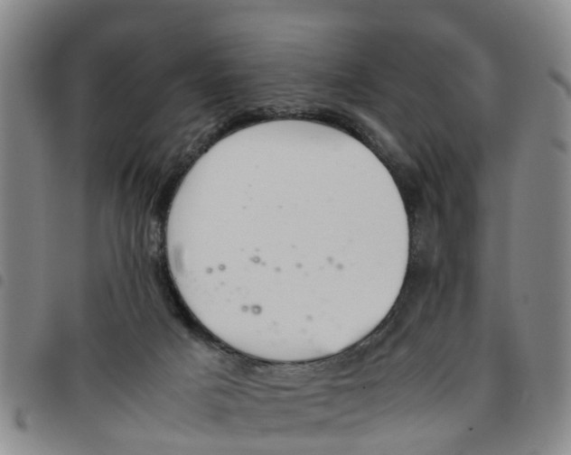 X0000097460025200803141901