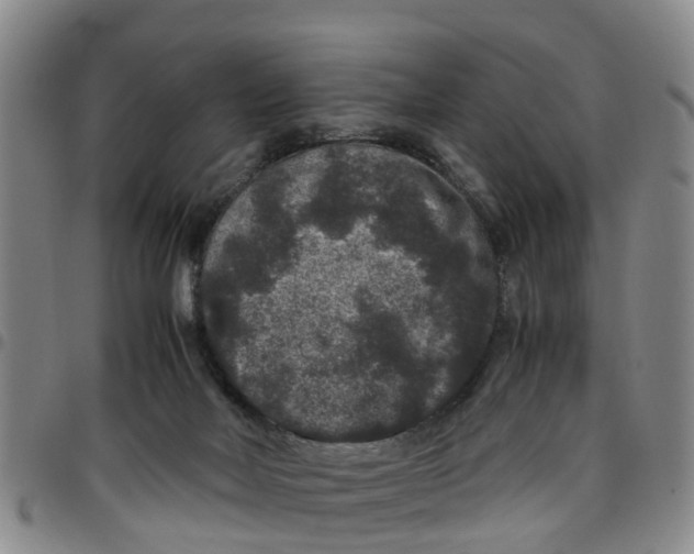 X0000097460026200803141901