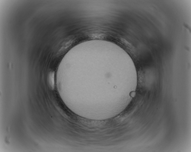 X0000097460028200803141901