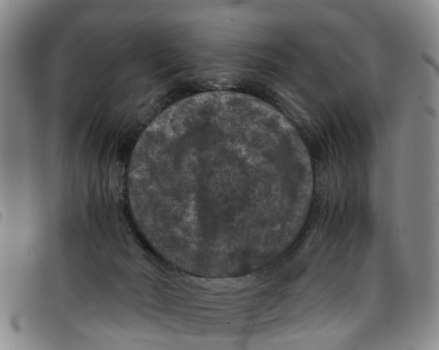 X0000097460030200803141901