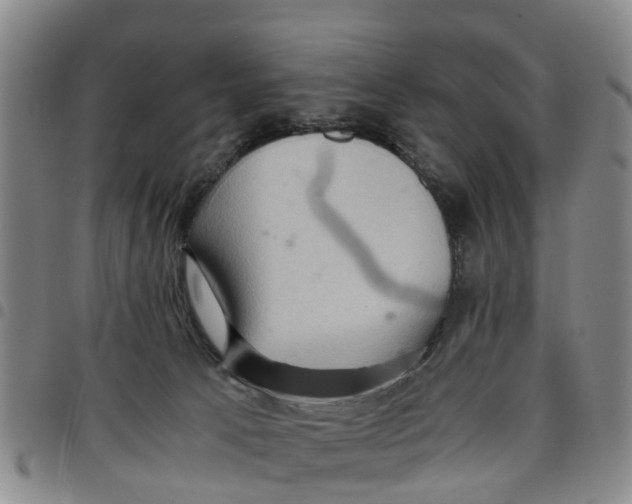 X0000097460033200803141901