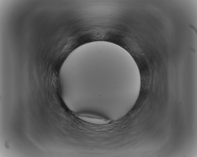 X0000097460035200803141901