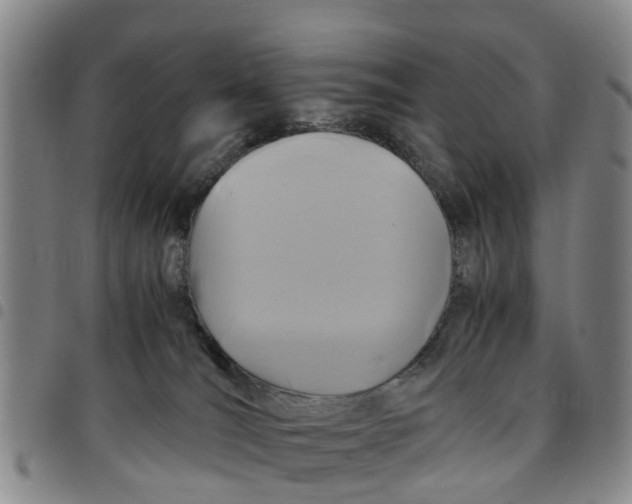 X0000097460036200803141901