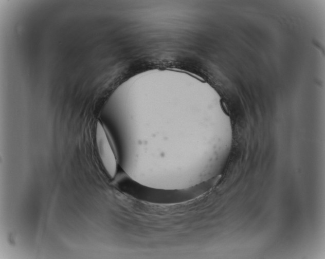 X0000097460037200803141901