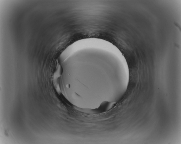 X0000097460039200803141901