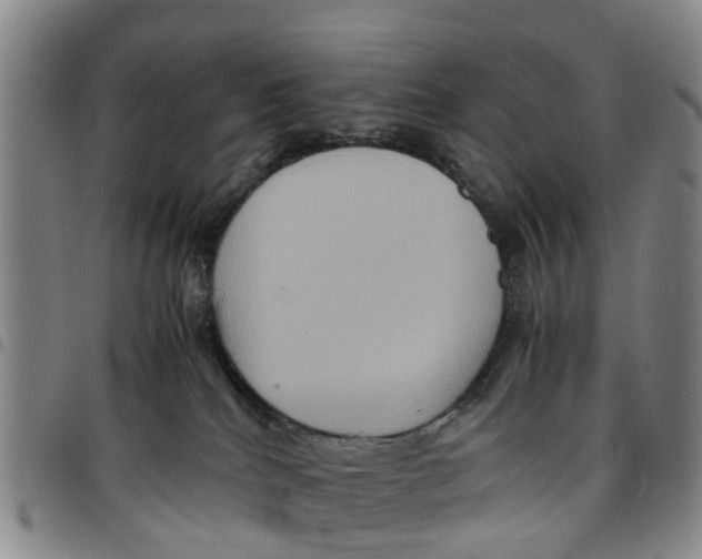 X0000097460040200803141901