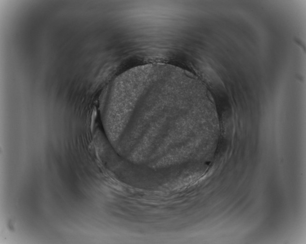 X0000097460041200803141901