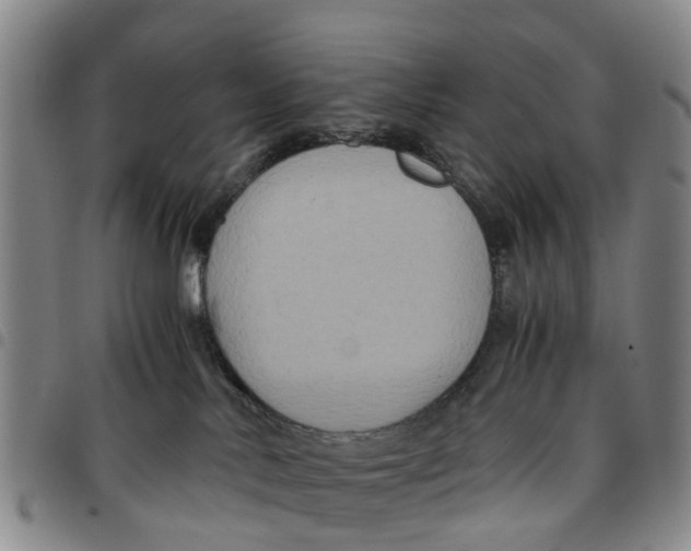 X0000097460042200803141901