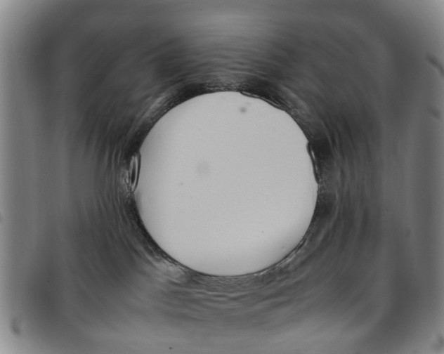 X0000097460045200803141901