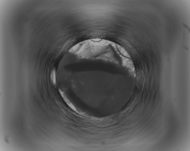 X0000097460046200803141901