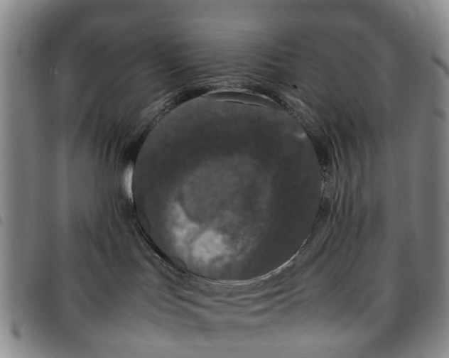 X0000097460047200803141901