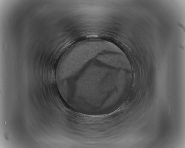 X0000097460048200803141901