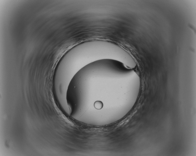 X0000097460049200803141900