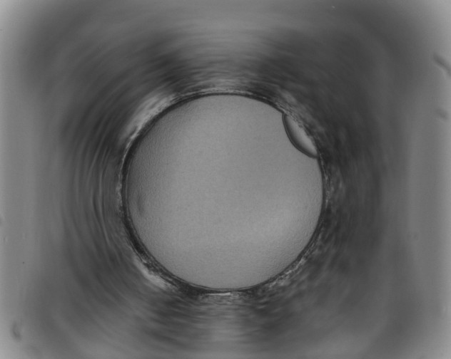 X0000097460050200803141900