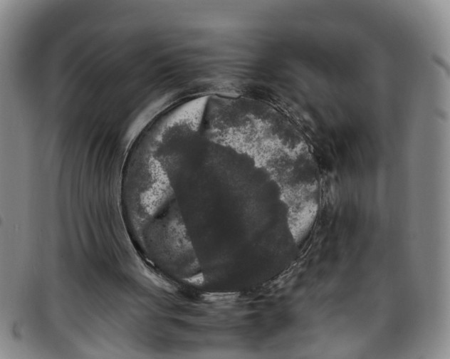 X0000097460051200803141900