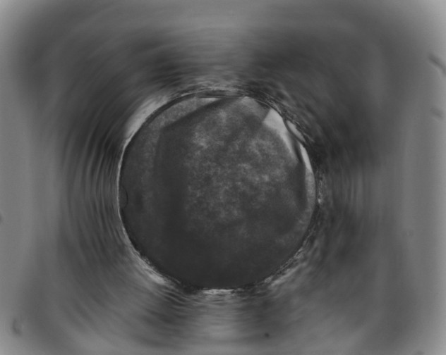 X0000097460052200803141900