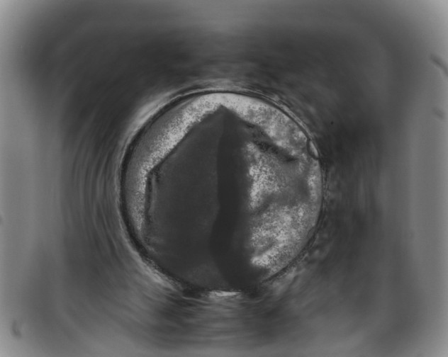 X0000097460055200803141900