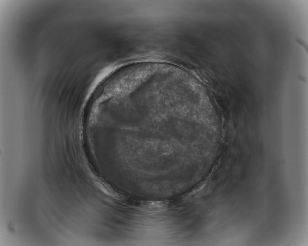 X0000097460056200803141900