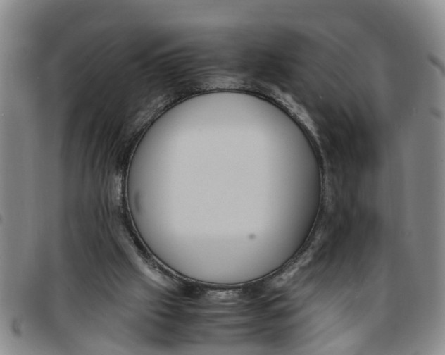 X0000097460057200803141900