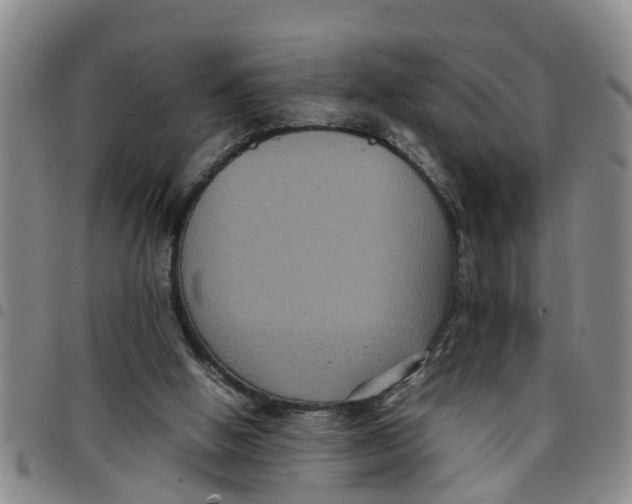 X0000097460058200803141900