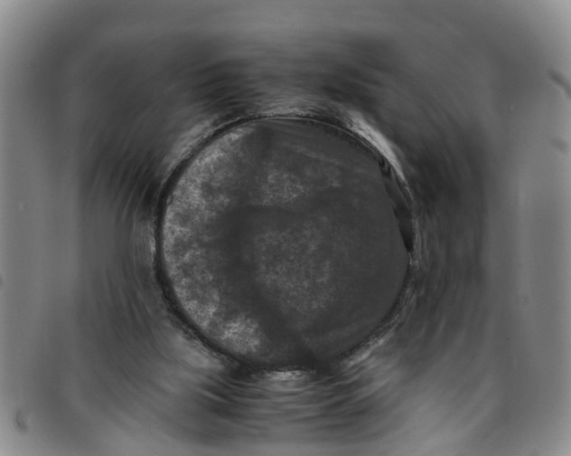 X0000097460059200803141900