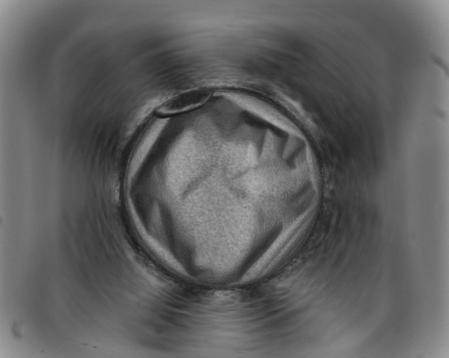 X0000097460060200803141900