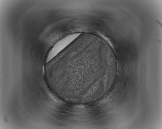 X0000097460061200803141900