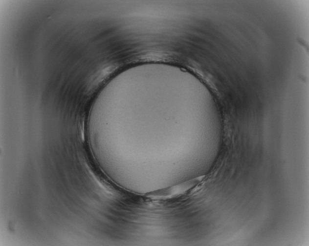 X0000097460062200803141900