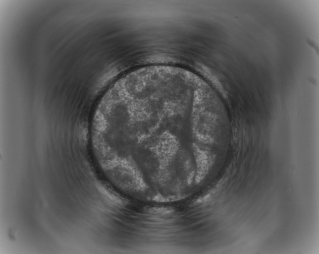 X0000097460063200803141900