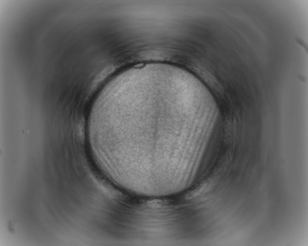 X0000097460064200803141900