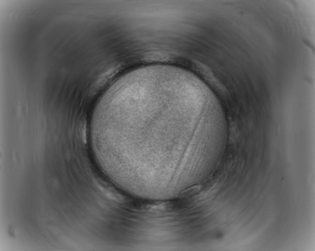 X0000097460068200803141900