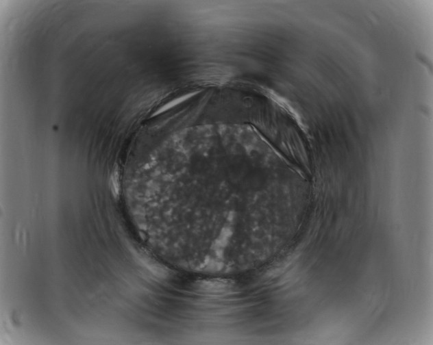 X0000097460069200803141900