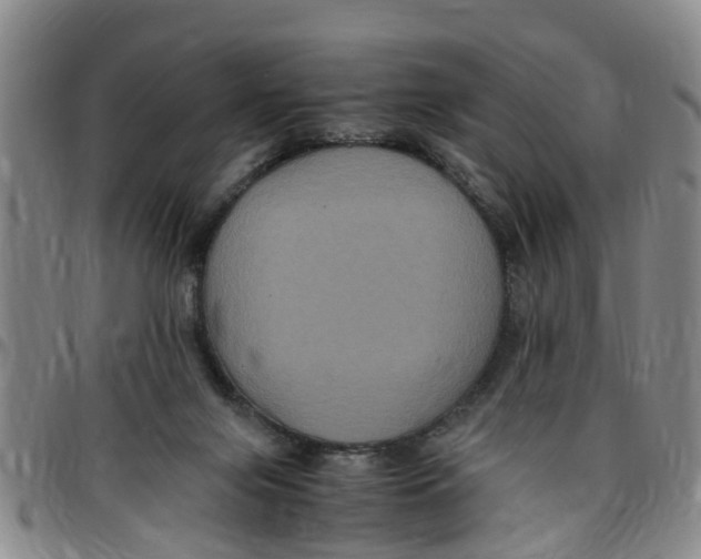 X0000097460071200803141900