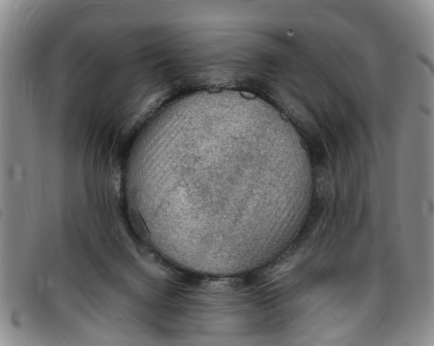 X0000097460072200803141900