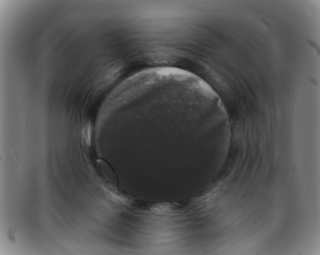 X0000097460076200803141901