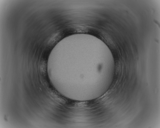 X0000097460078200803141901