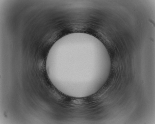 X0000097460079200803141901