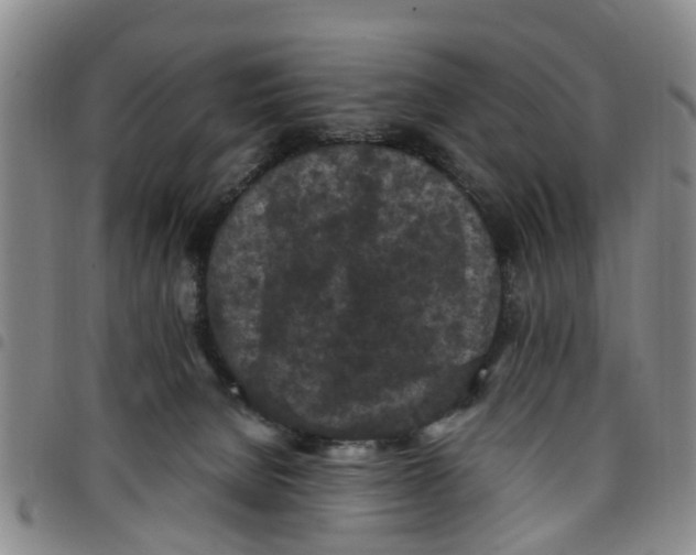 X0000097460080200803141901