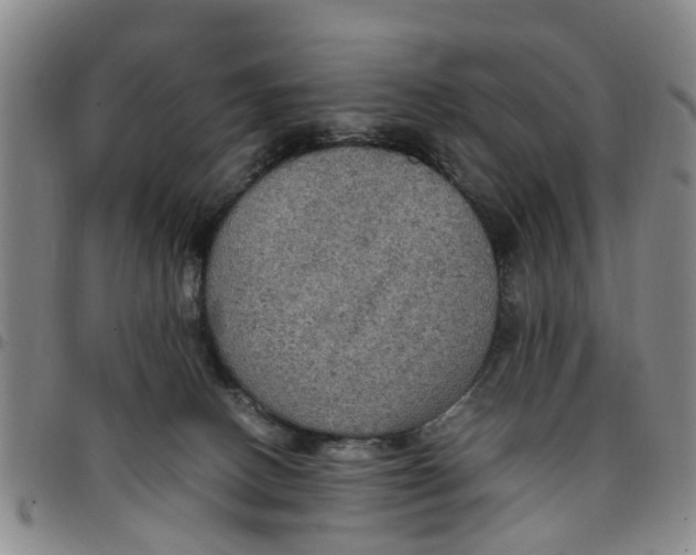 X0000097460082200803141901